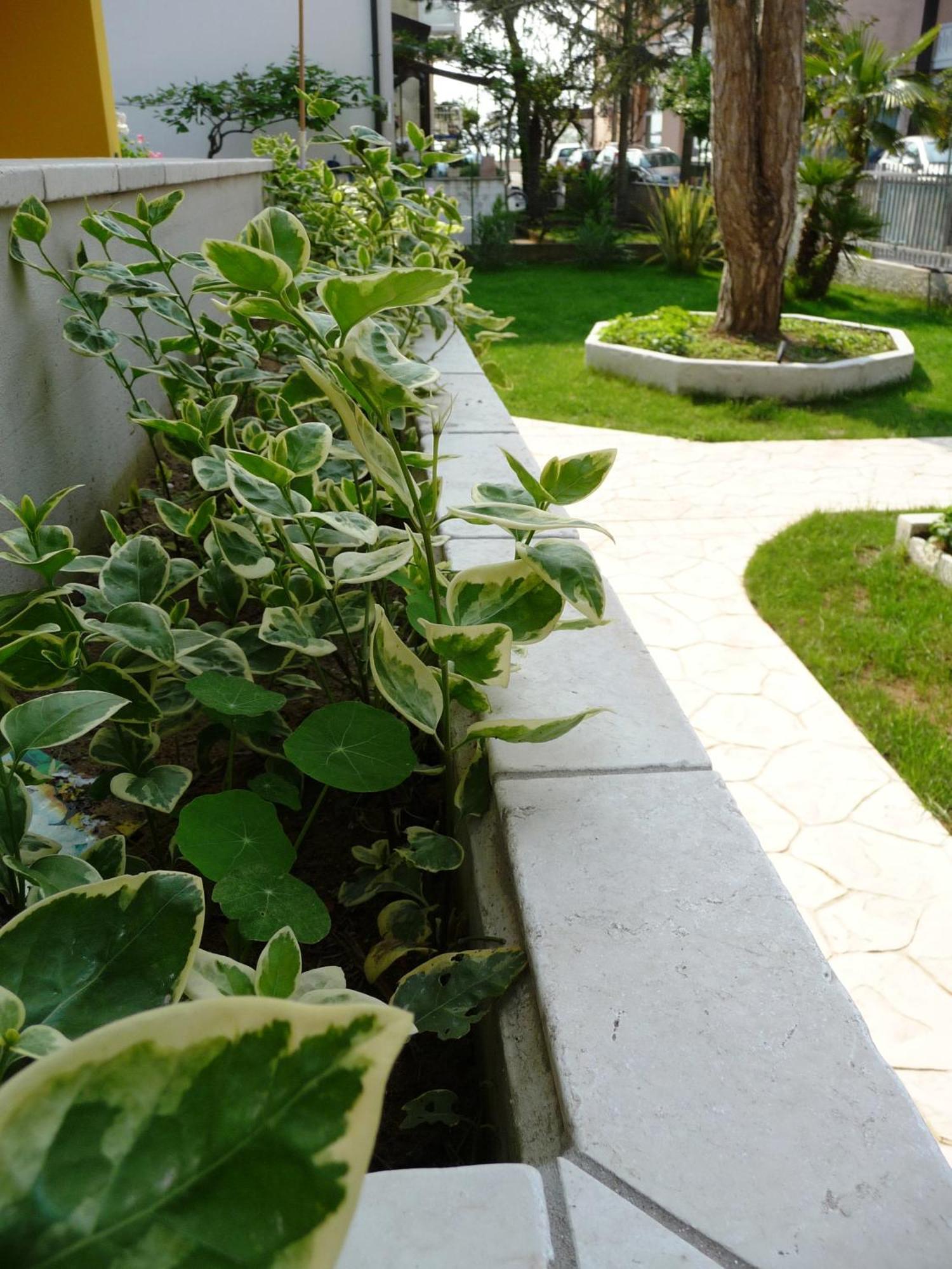 Residence Amarein กาออร์เล ภายนอก รูปภาพ